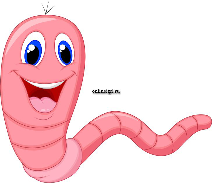  worms