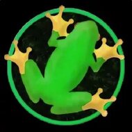 Frogar.io