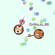 Grims.io