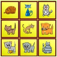 Коты: найди отличия