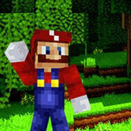 Марио Майнкрафт, Minecraft Super Mario Edition