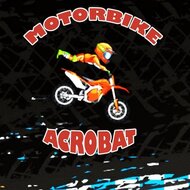 Мотоциклист-акробат, мотоциклы, трюки, гонки на выживание, акробат, каскадер, онлайн игра, 2д