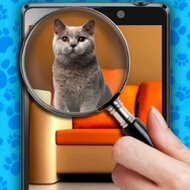 Найди кота ио