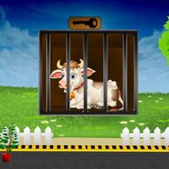 Побег коровы