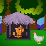 Побег кошки