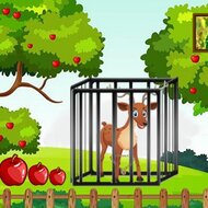Побег оленя