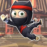 Приключения супер ниндзя