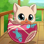 Уход за маленьким котенком